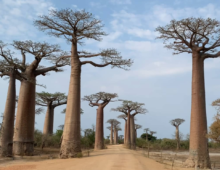 Madagascar: De Tana A Belo