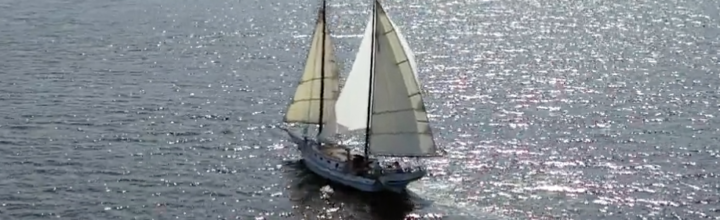 Jolly Dolphin (Classic boat)